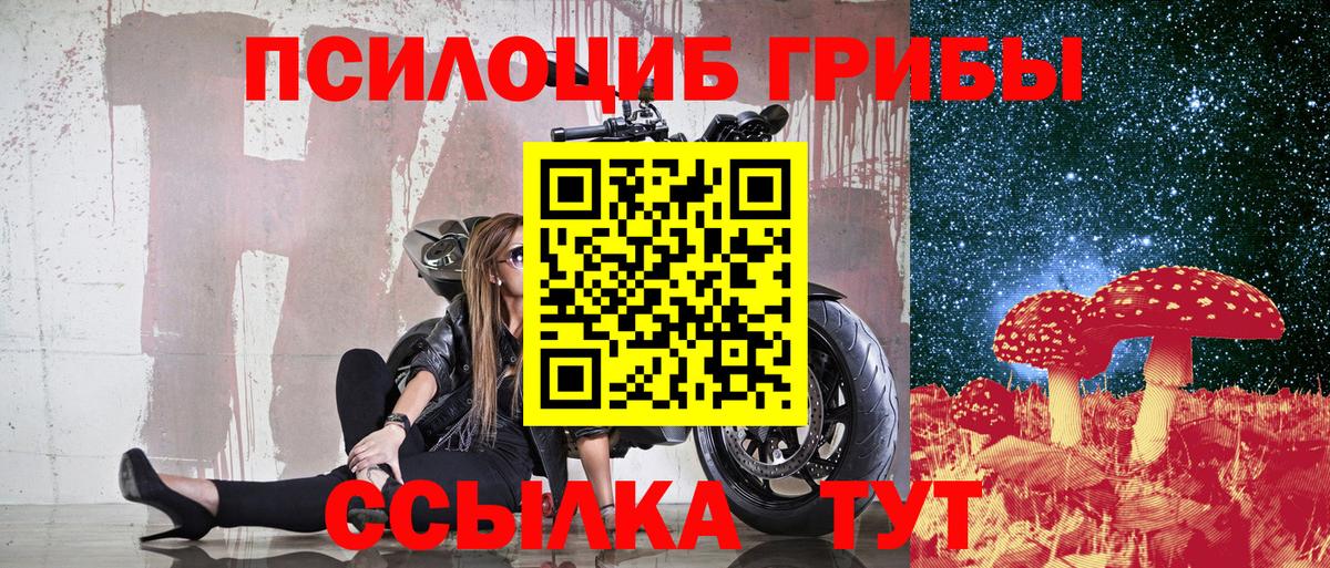 Псилоцибиновые грибы Psilocybe  Галлюциногенные грибы Psilocybe  Курск  Вход с VPN 