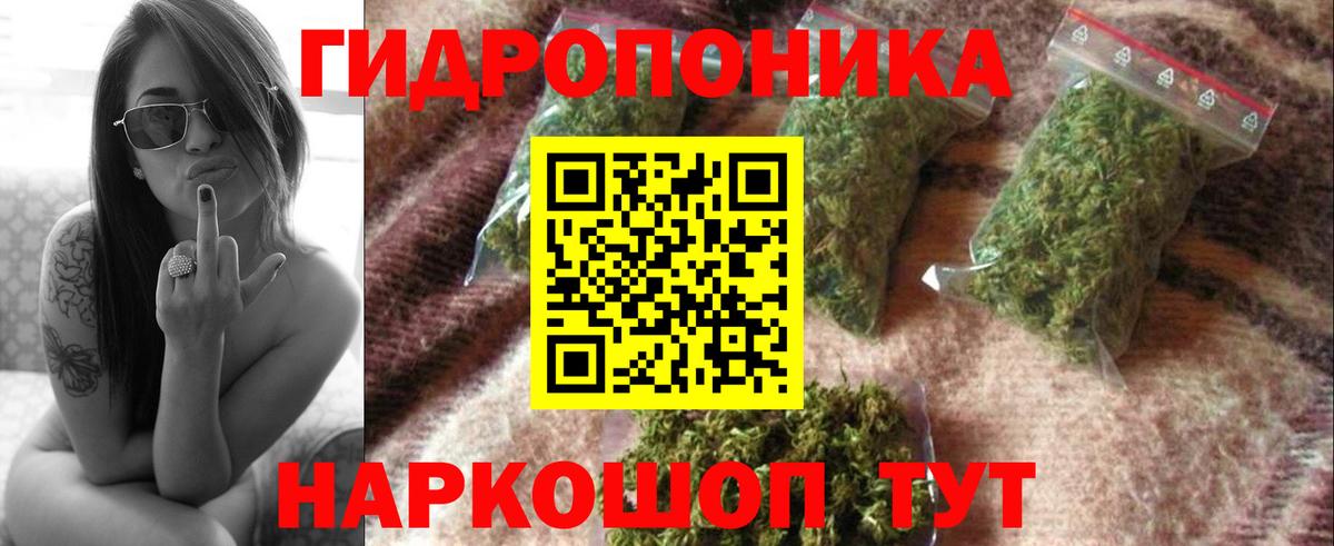 Шишки марихуана SATIVA & INDICA  Вход с VPN  Шишки марихуана план  Курск  МАРИХУАНА Bruce Banner 